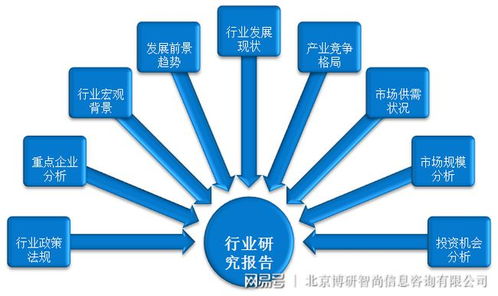 中国燃料汽车项目投资前景深度调研与战略分析报告